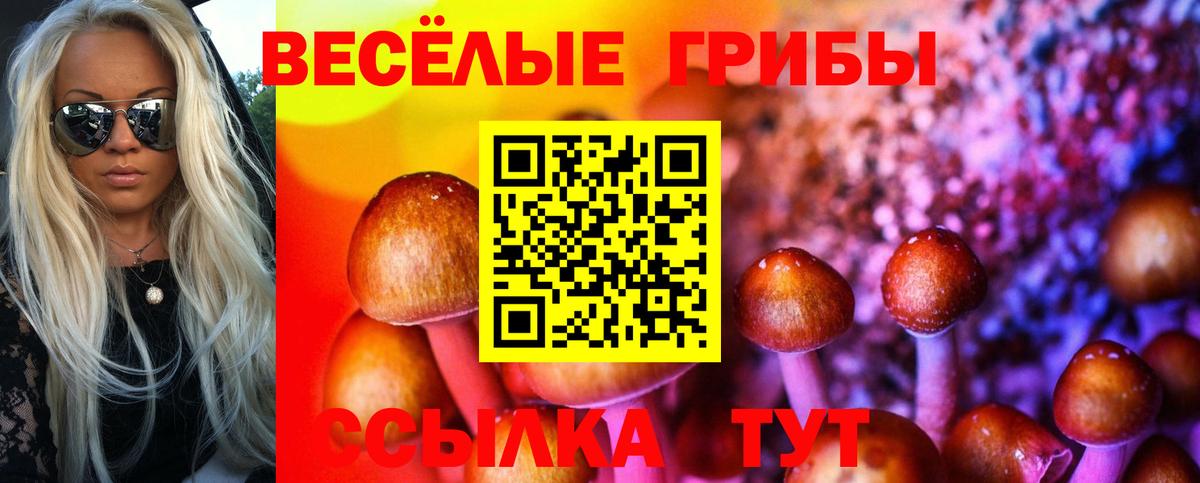 Псилоцибиновые грибы Psilocybine cubensis Грозный